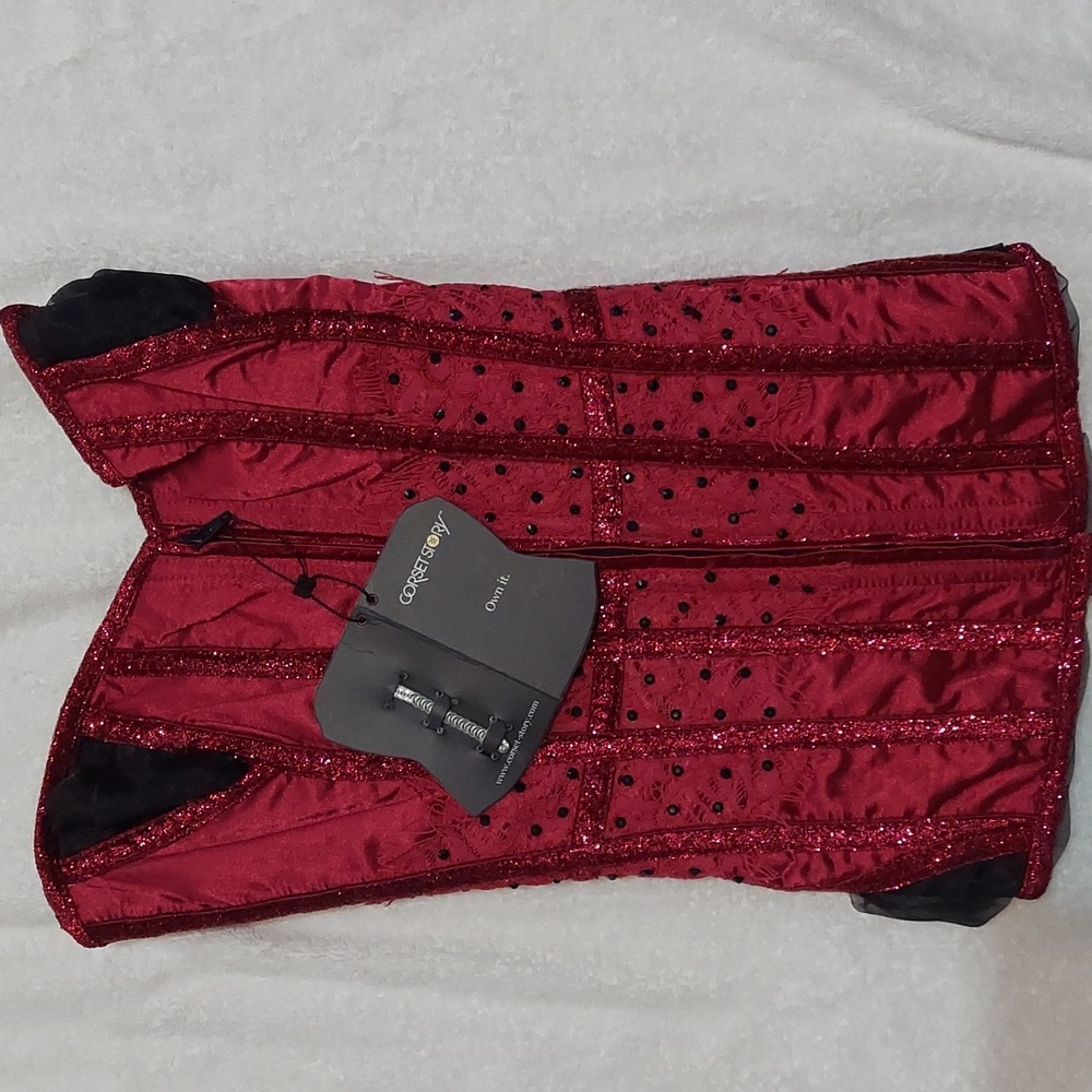 NWT NIP CORSET STORY fuschia corset with sparkle accents. Size 1X